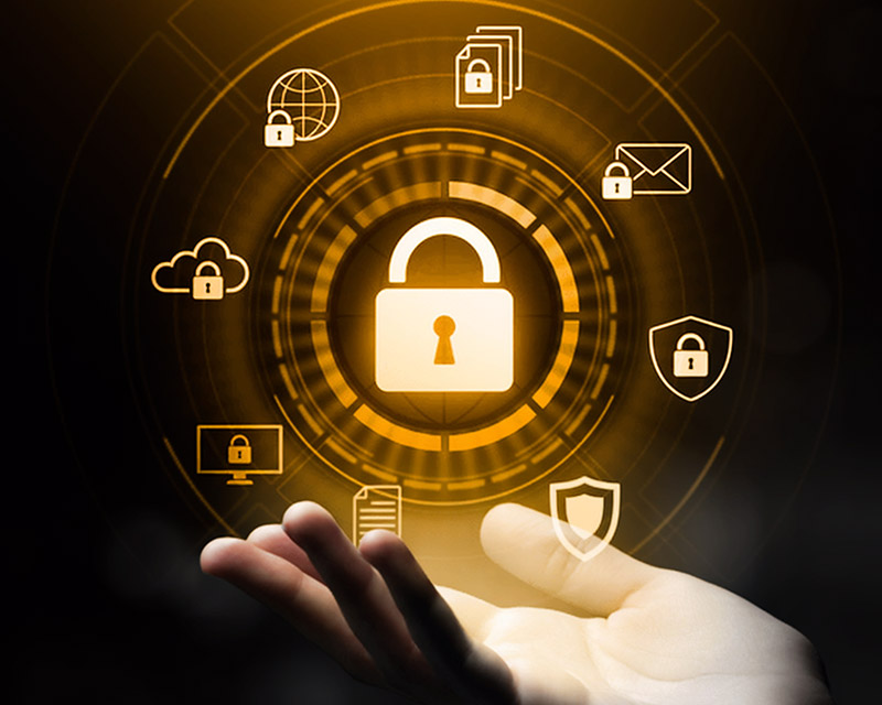 Private cyber protection team